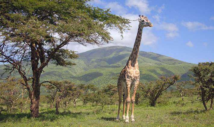 Vacances-passion - Afrique du Sud - Swaziland - Johannsburg - Afrique du Sud - Swaziland