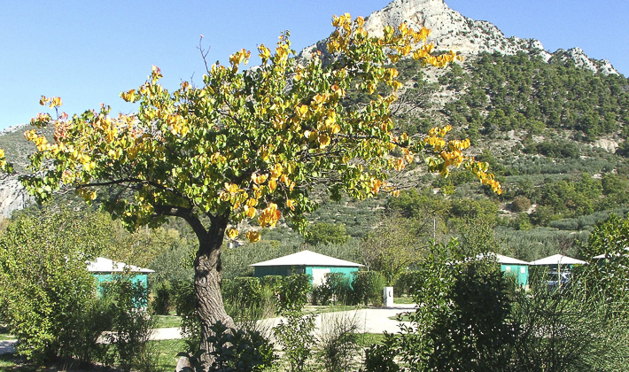 Vacances-passion - Village vacances La Fontaine d'Annibal*** - Buis-les-Baronnies - Drôme