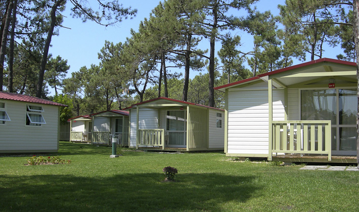 Vacances-passion - Camping Gala*** - Figueira da Foz - Portugal