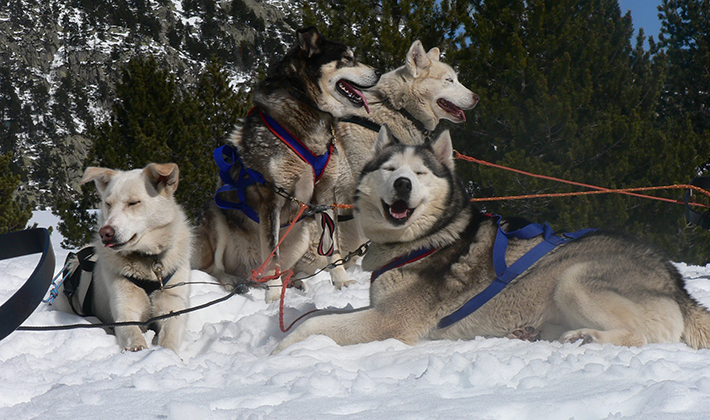 Vacances-passion - Le Chalet du Ticou** - Bolquère - Pyrénées-Orientales