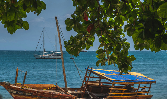 Vacances-passion - Tanzanie - Karafuu - Tanzanie
