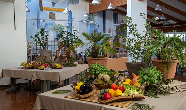 Vacances-passion - Village vacances La Bayette*** - Le Pradet - Var