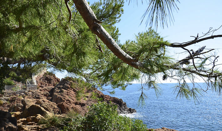 Vacances-passion - Village vacances Les Genévriers*** - Saint-Raphaël - Var