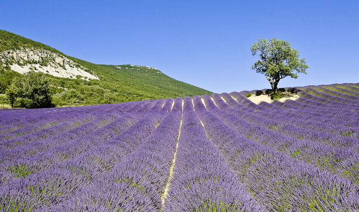 Vacances-passion - Village vacances La Fontaine d'Annibal*** - Buis-les-Baronnies - Drôme