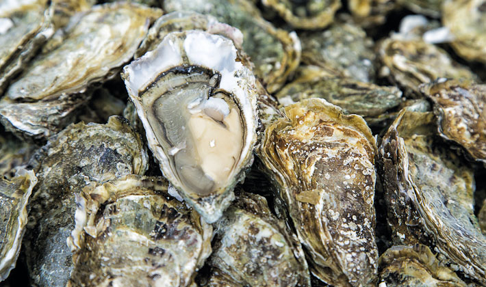 Vacances-passion - Camping Les Bris - Île d'Oléron - Charente-Maritime