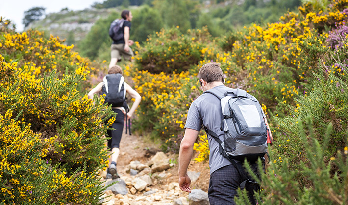 Vacances-passion - Les Jonquilles - Xonrupt-Longemer - Vosges