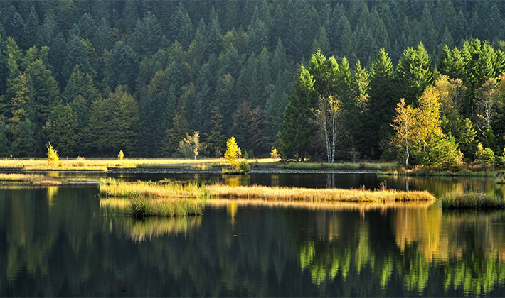 Vacances-passion - Les Jonquilles - Xonrupt-Longemer - Vosges