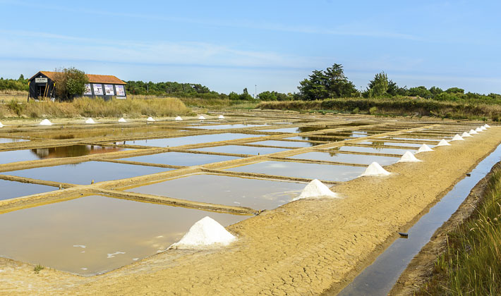 Vacances-passion - Village et camping Les Bris*** - Île d'Oléron - Charente-Maritime