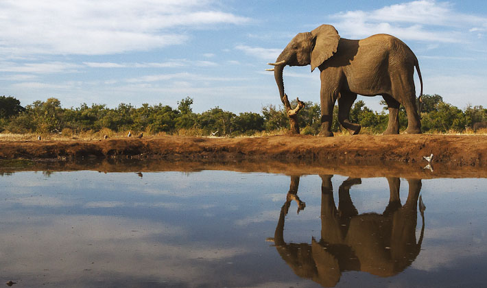 Vacances-passion - Afrique du Sud - Swaziland - Johannsburg - Afrique du Sud - Swaziland