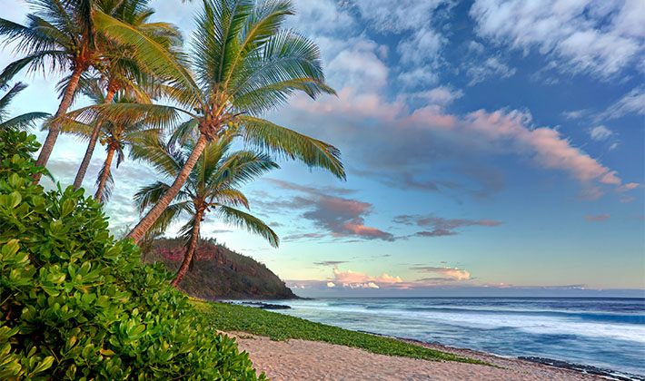 Vacances-passion - Hôtel Les Aigrettes - La Réunion - La Réunion