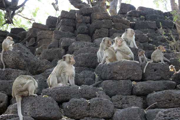 Vacances-passion - Circuit Thaïlande Nord-Sud - Thaïlande - Thaïlande