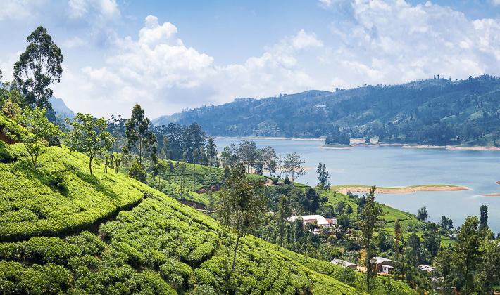 Vacances-passion - Merveilles du Sri Lanka - Sri Lanka - Sri Lanka