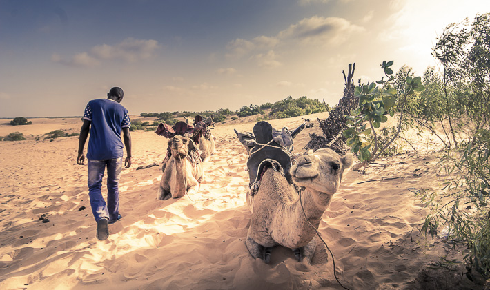 Vacances-passion - Circuit Sénégal - Sénégal - Sénégal