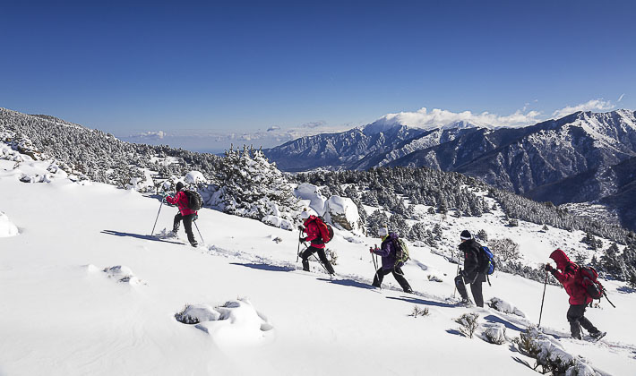 Vacances-passion - Le Chalet du Ticou** - Bolquère - Pyrénées-Orientales